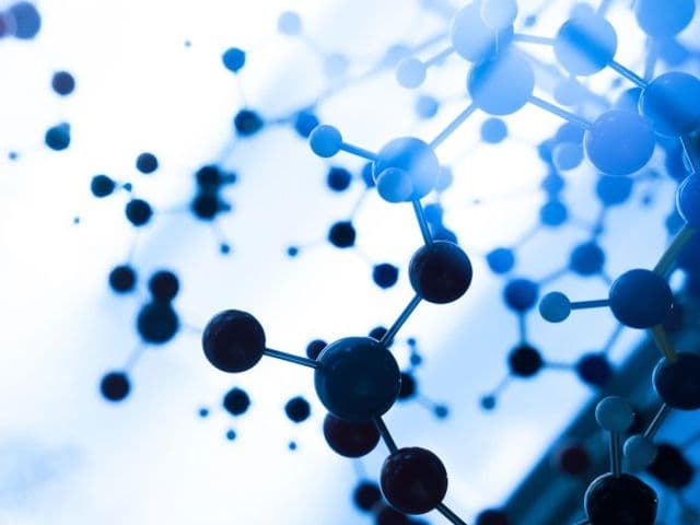 RecombiMAb human IgG4 (S228P) isotype control, anti-hen egg lysozyme
