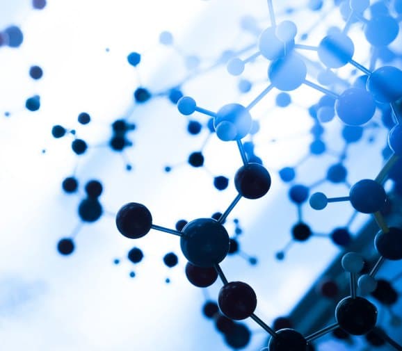 RecombiMAb human IgG4 (S228P) isotype control, anti-hen egg lysozyme