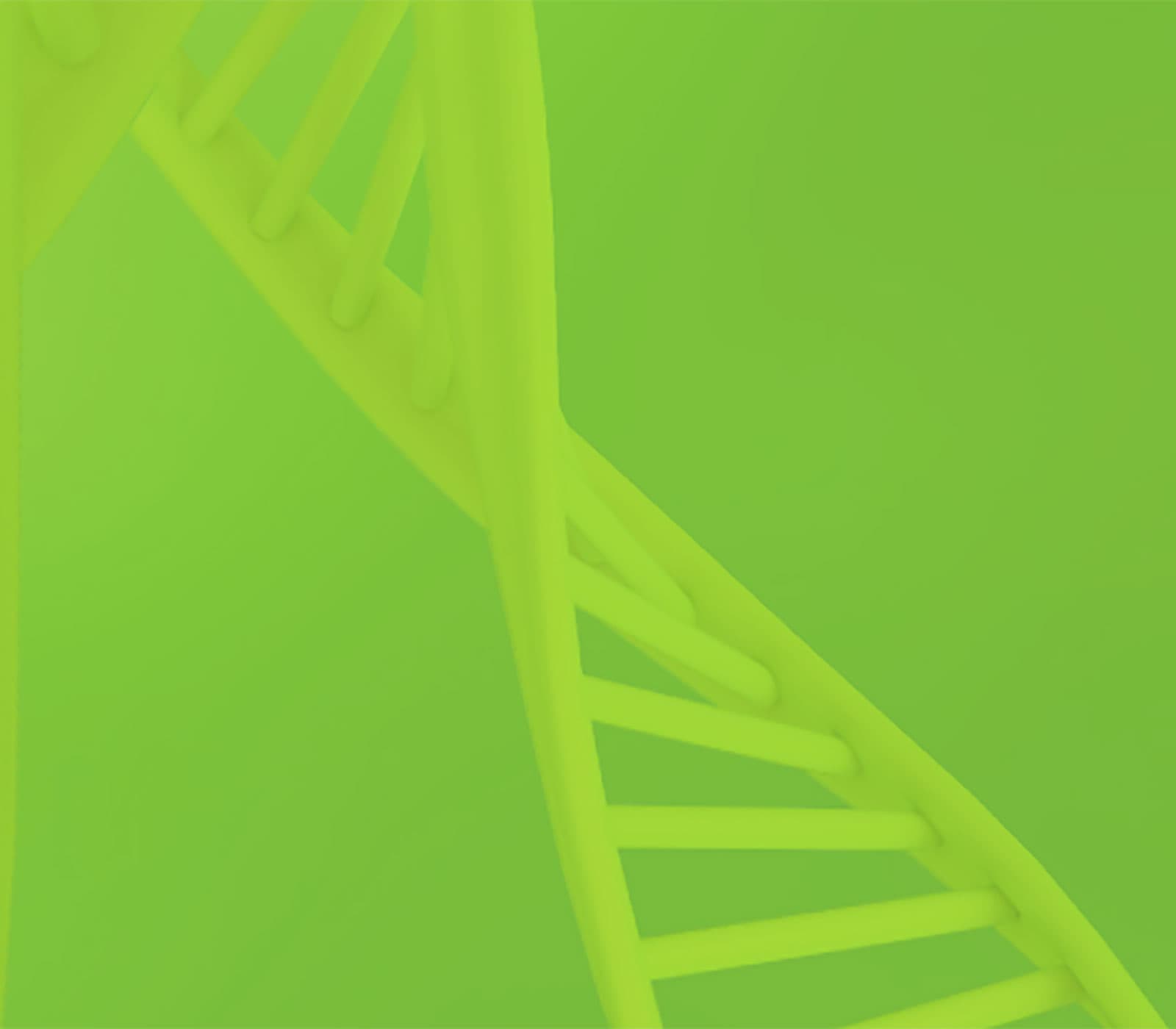 Enzo Life Sciences Employee Benefits — supporting team well-being