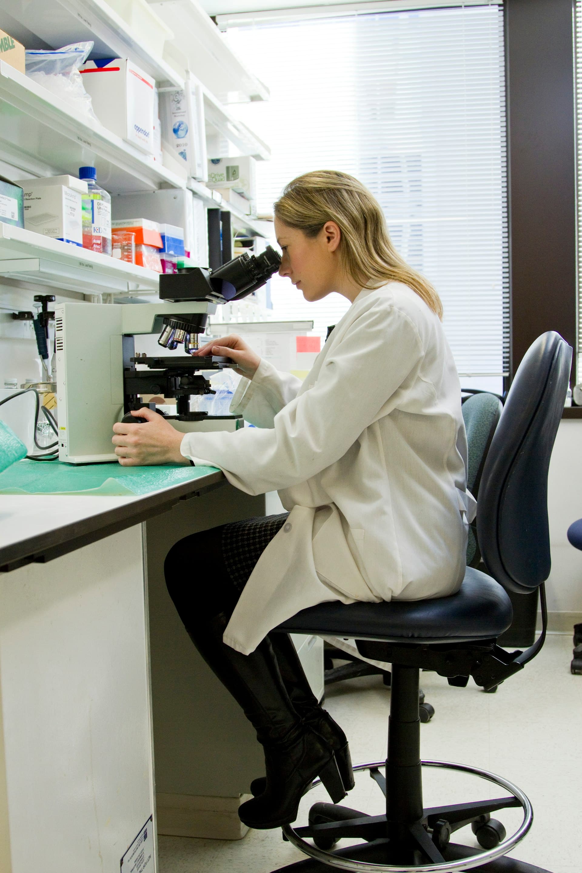 Scientists collaborating in a research laboratory serving academic and zoological institutions