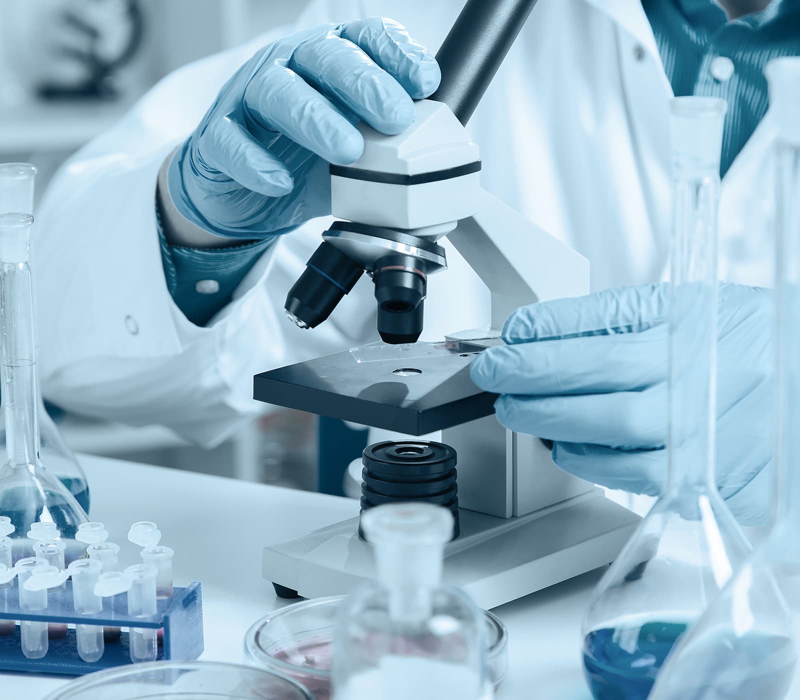 Enzo target identification solutions — screening libraries and bioactive compounds for drug discovery