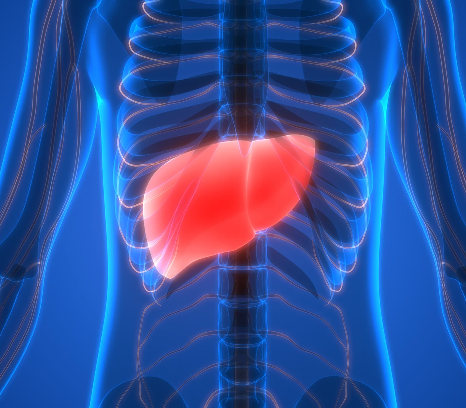 Hepatotoxicity — biopharma development tools