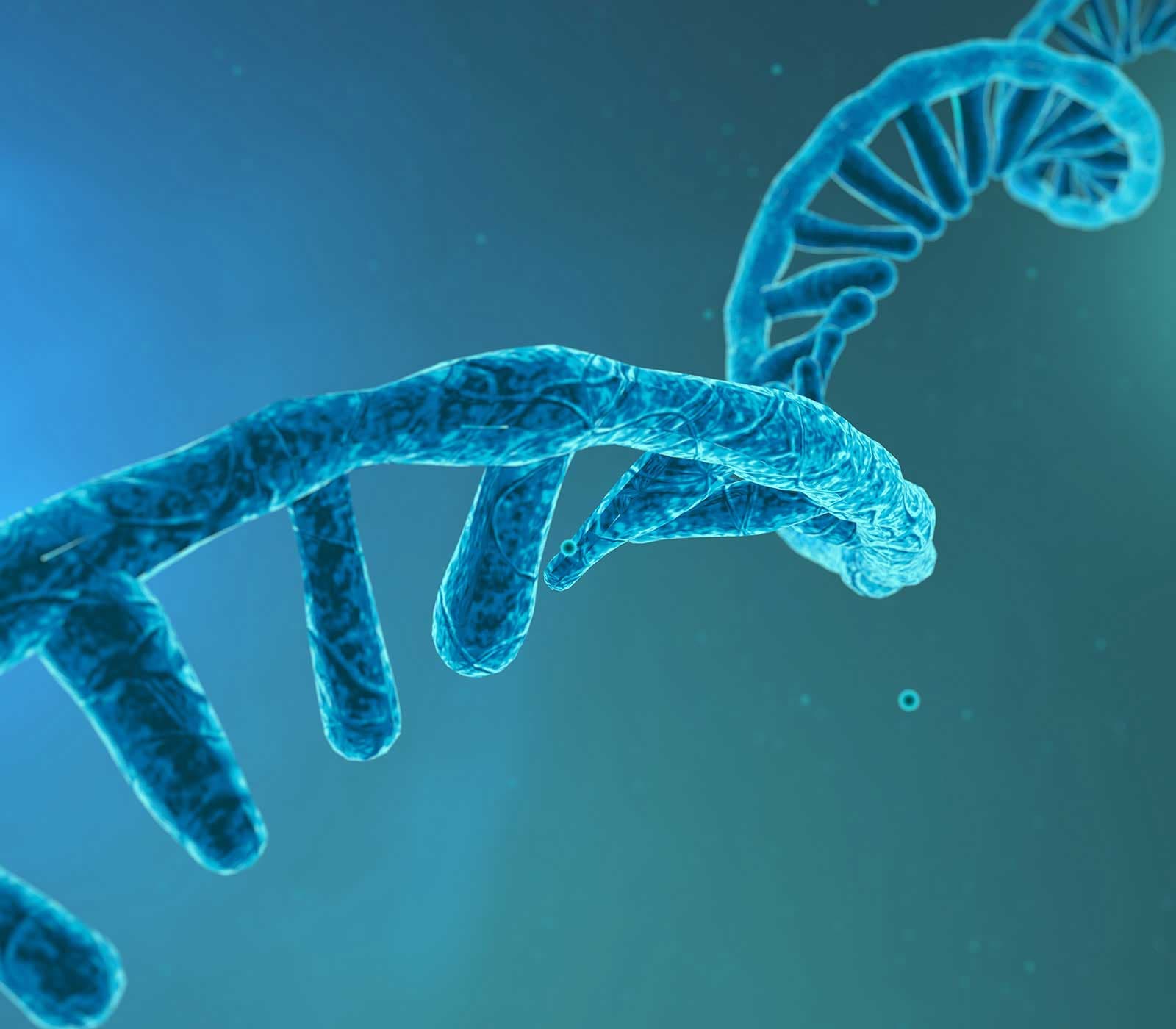 Custom Oligo Services — Enzo Life Sciences