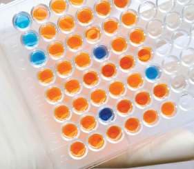 Immunoassay E-book