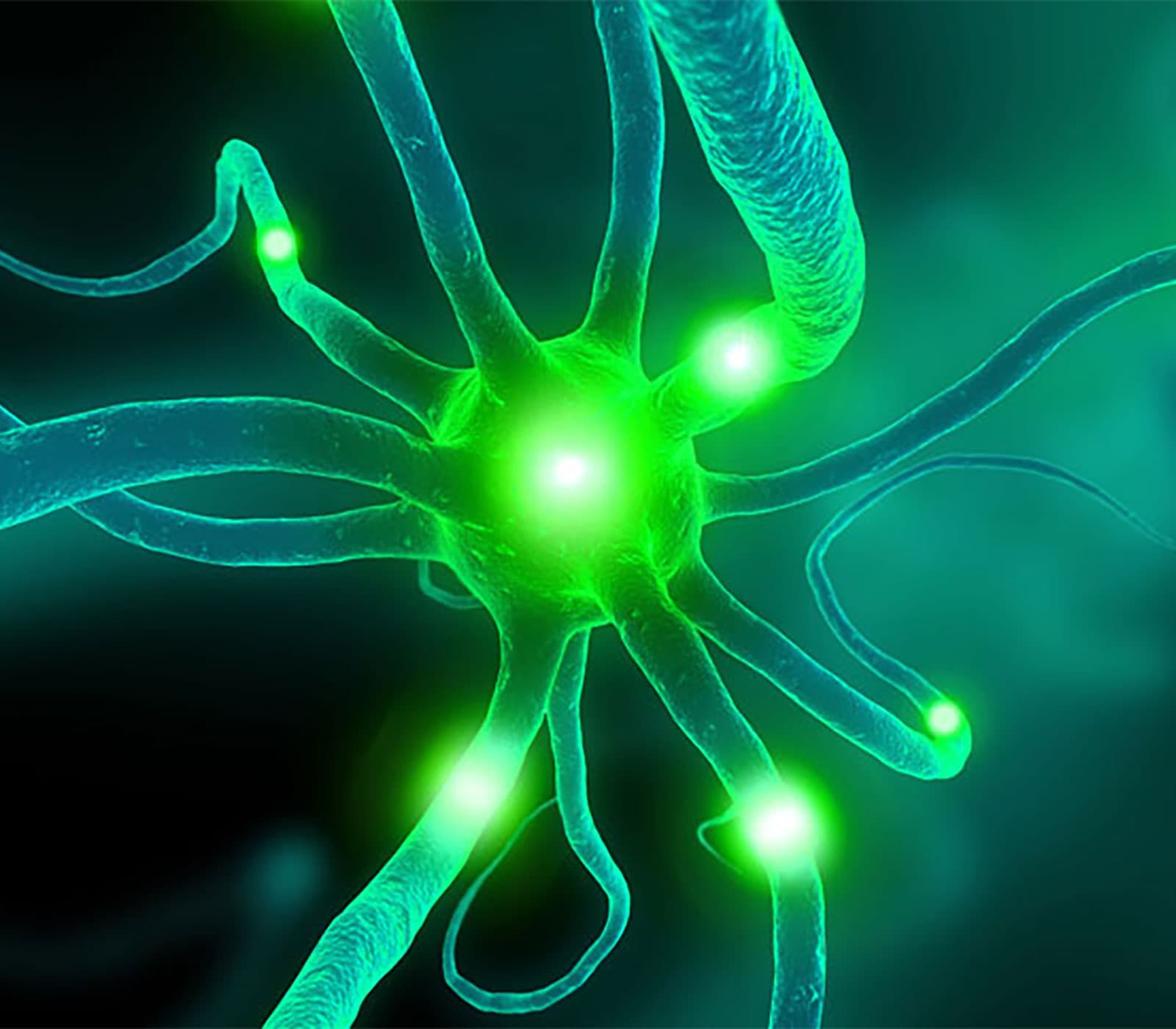 Compound Libraries for Neuromodulator Screening research tools