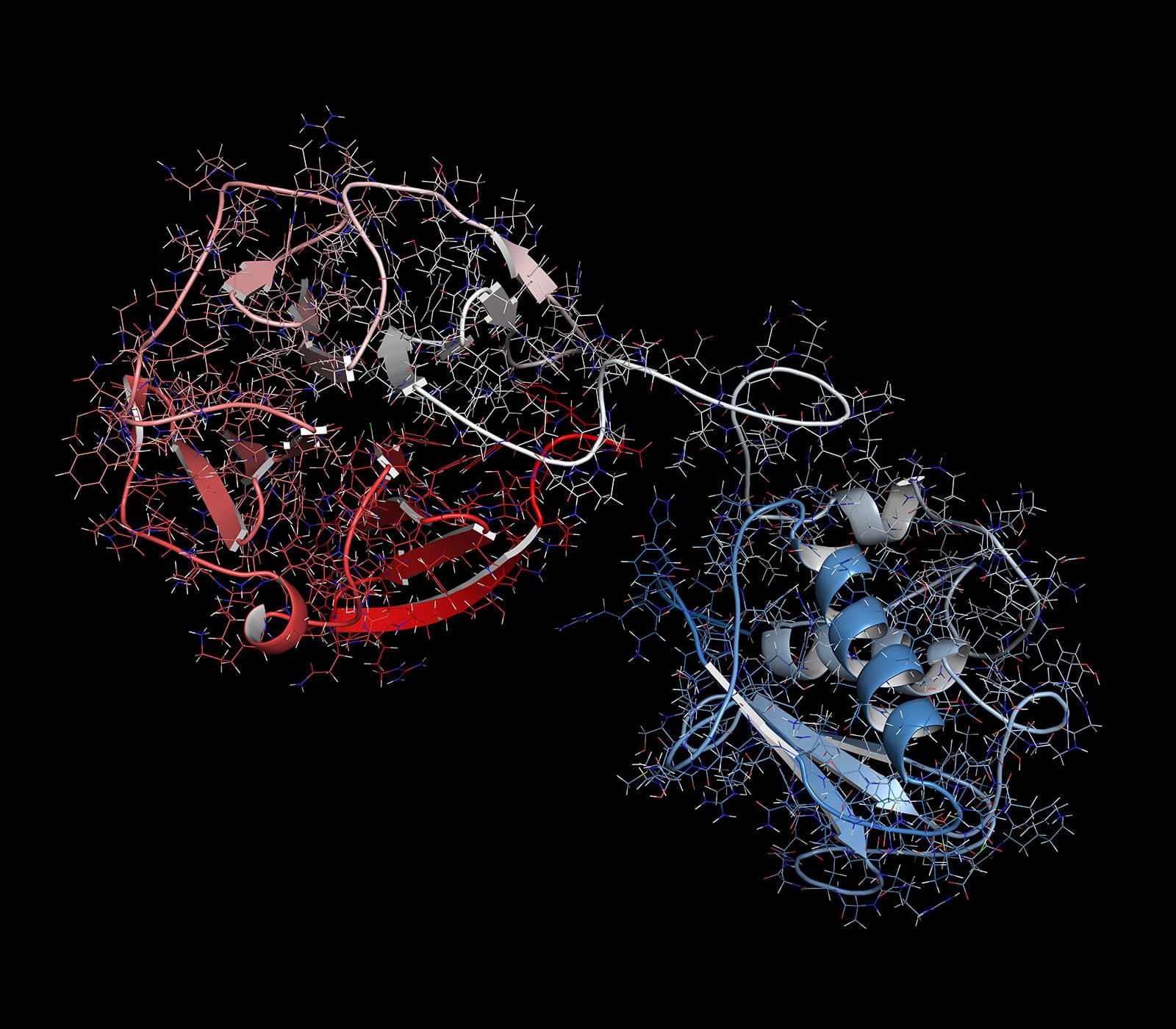MMP Fluorometric Drug Discovery Kits research tools
